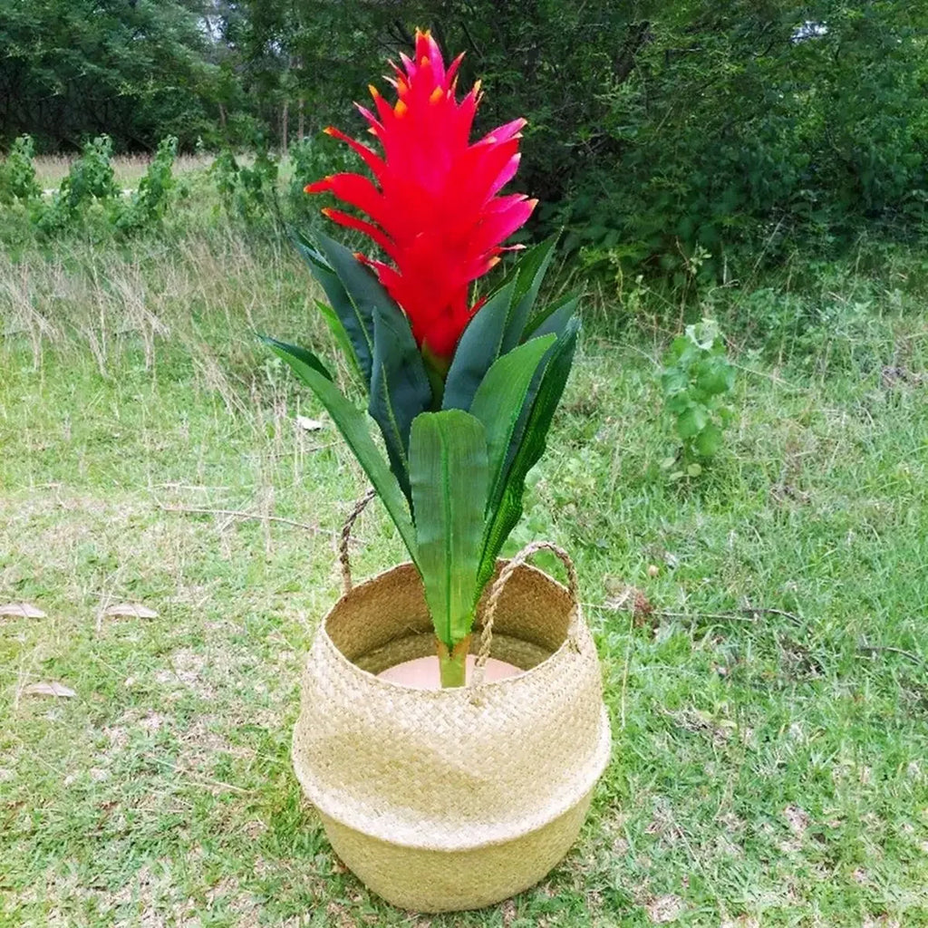 Woven Seagrass Basket – Natural Storage & Plant Basket in 7 Sizes