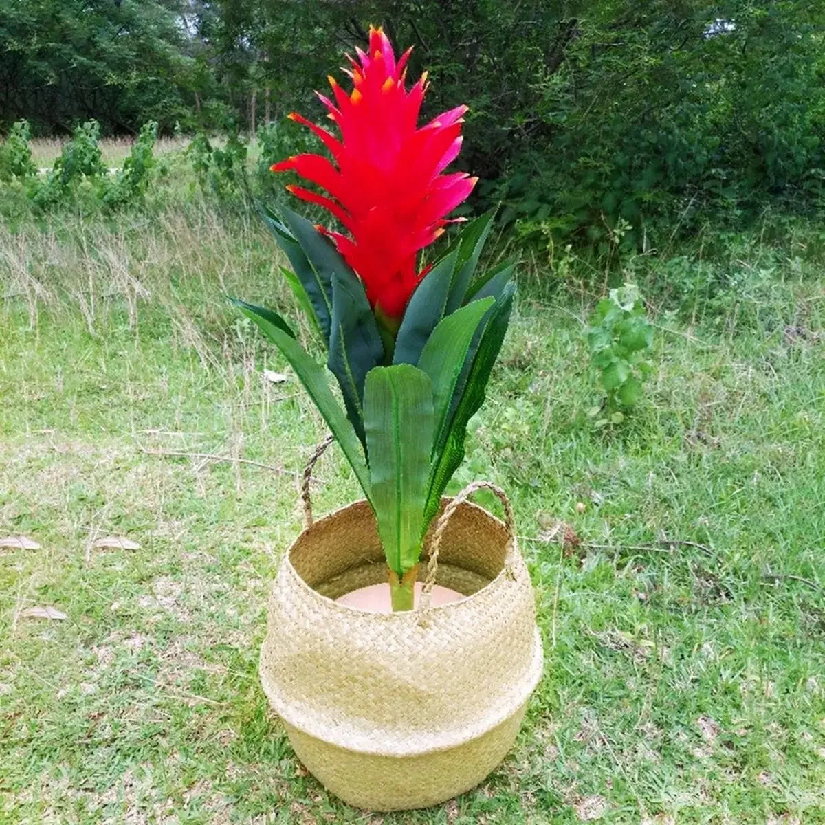 Woven Seagrass Basket – Natural Storage & Plant Basket in 7 Sizes